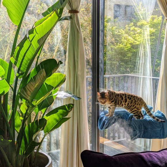 Meet your Posher, Zero (& Erin) - Picture 1 of 4